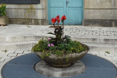 DSC02607
